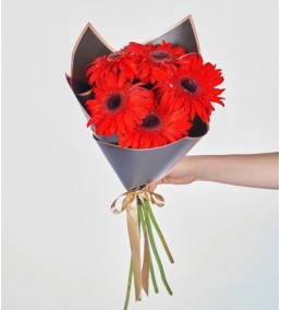 Kırmızı Gerbera buketi