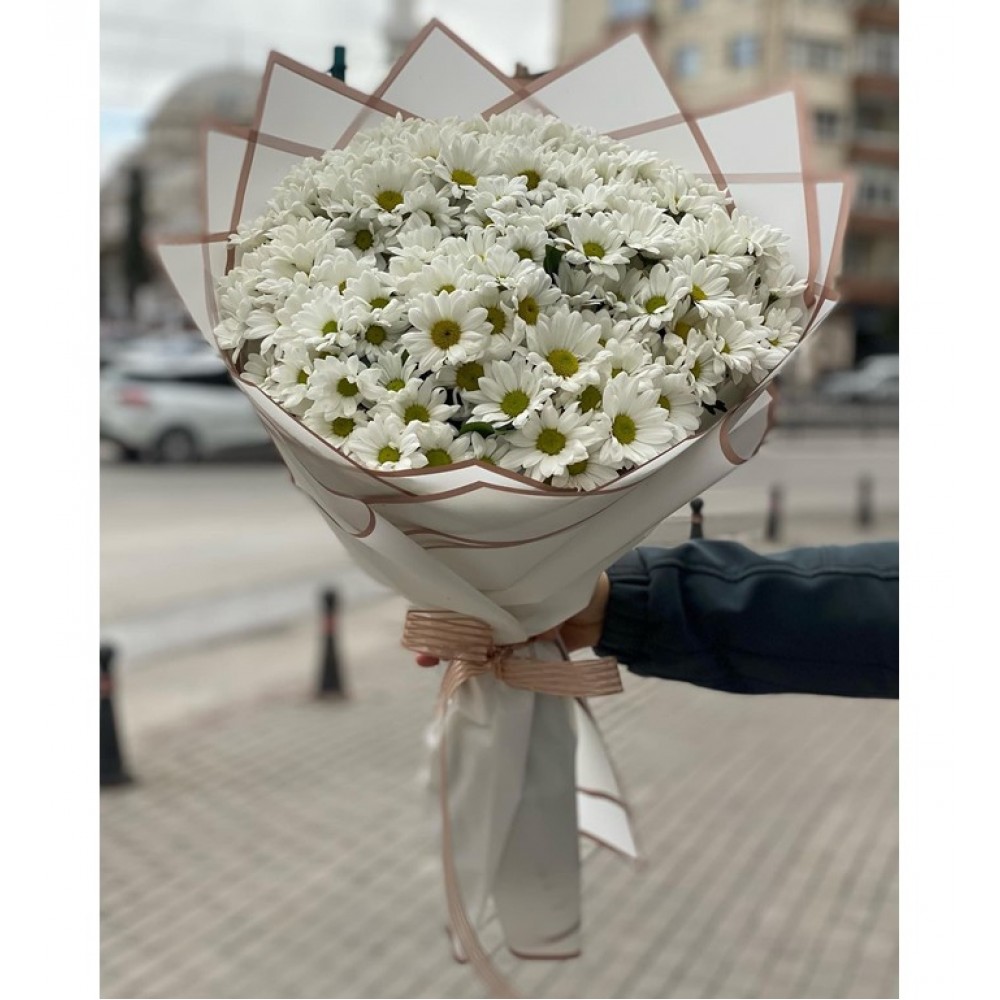 Özel Papatya Düşü
