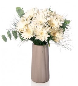 Bej Vazoda 9 Gerbera 